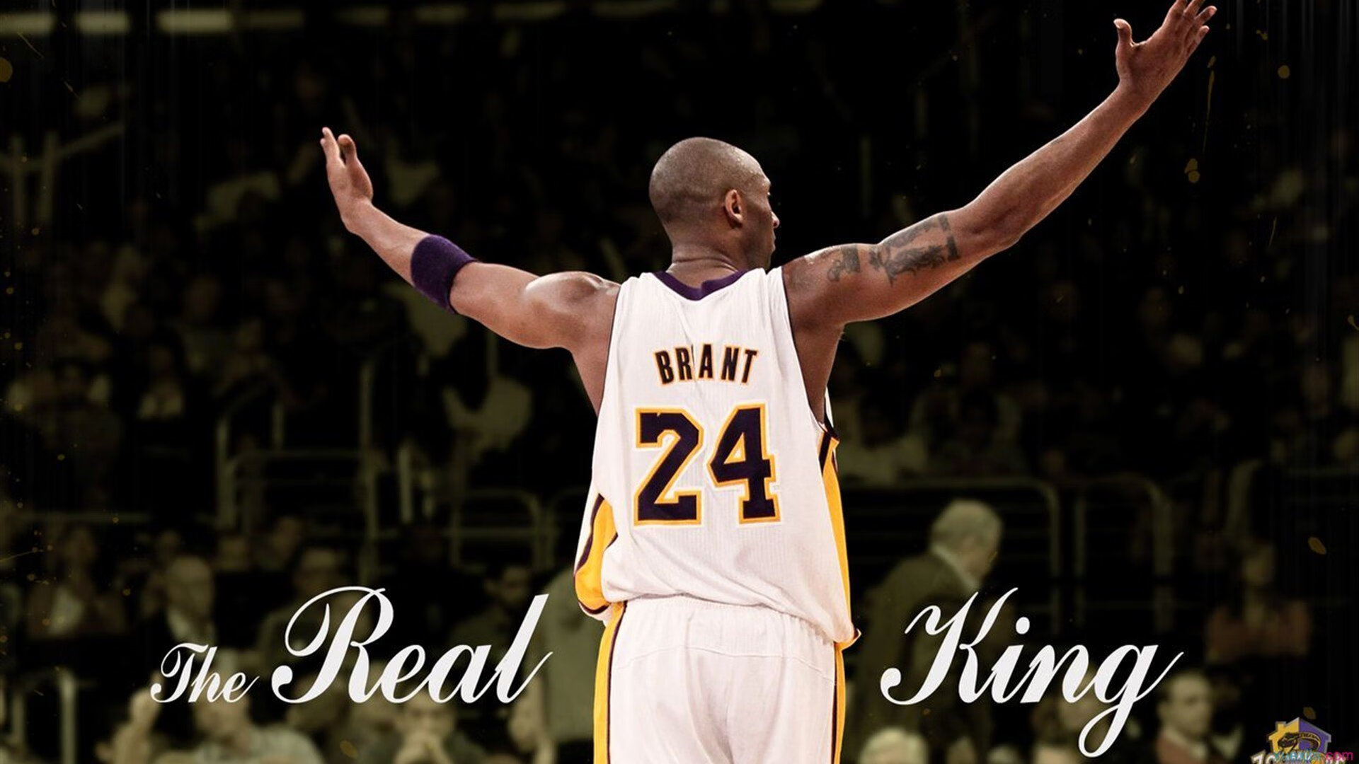 “明星战神再临！最炙手可热的投手与击球手全场对抗”，投球手是什么意思